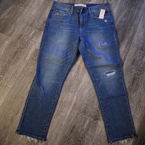 GAP Women's Best Girlfriend Distressed Blue Jeans